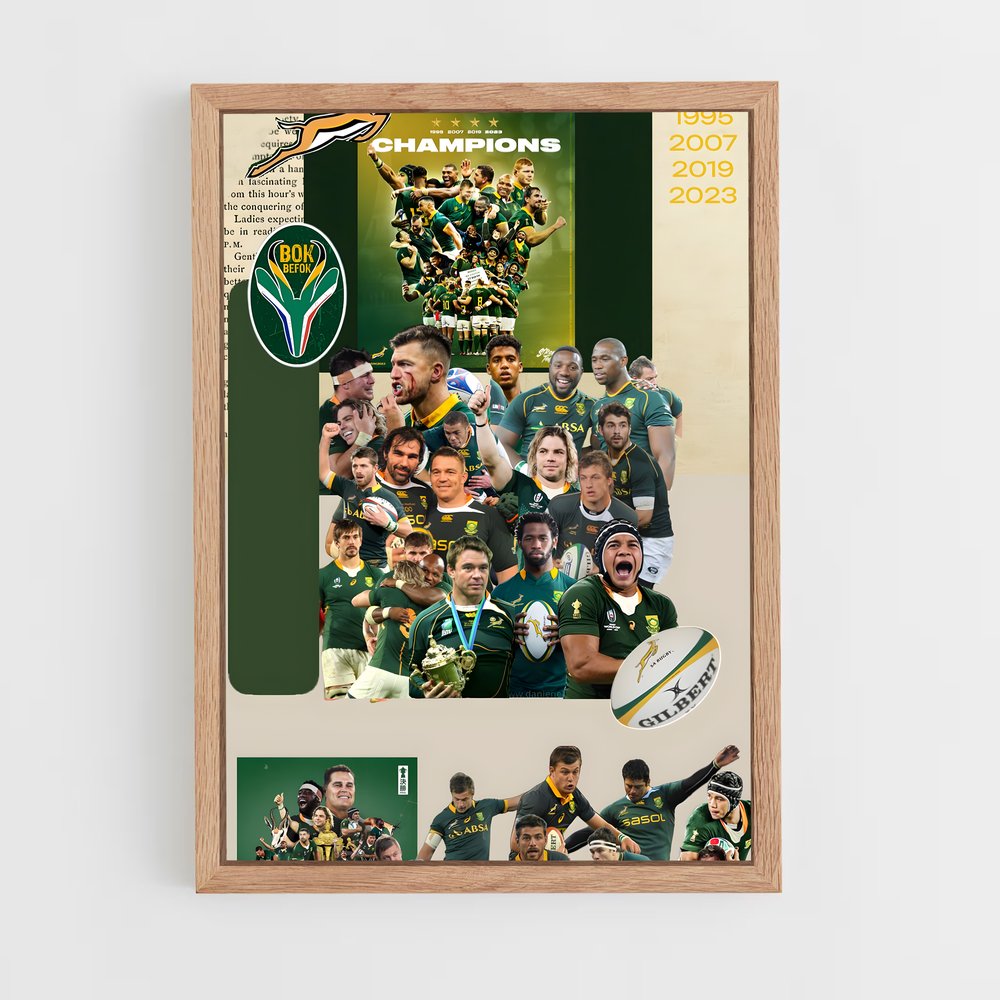 ap-south africa springboks-3 cadre Bois clair