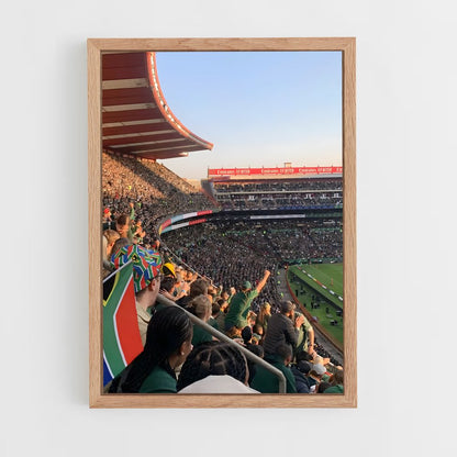 ap-south africa springboks-4 cadre Bois clair