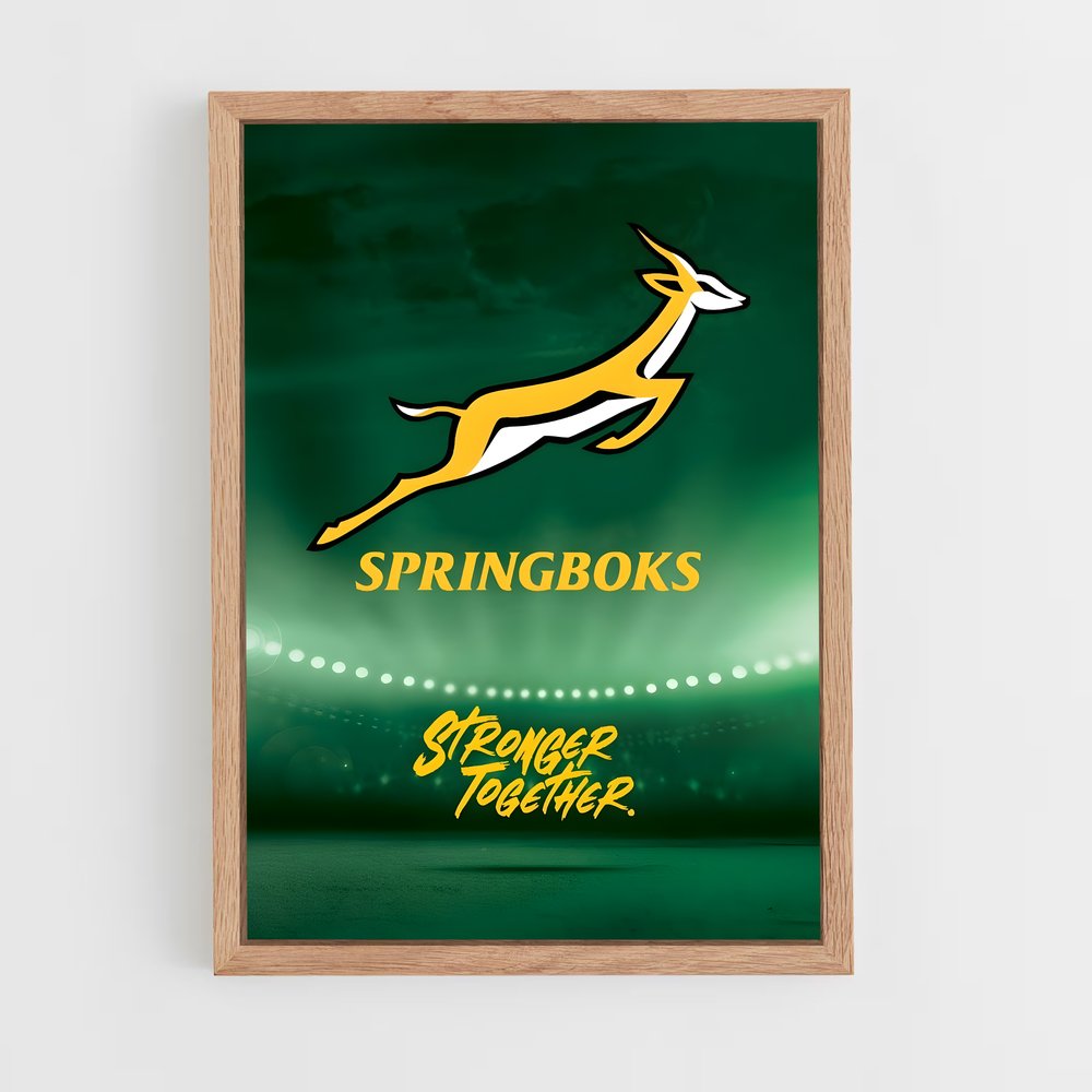 ap-south africa springboks-5 cadre Bois clair