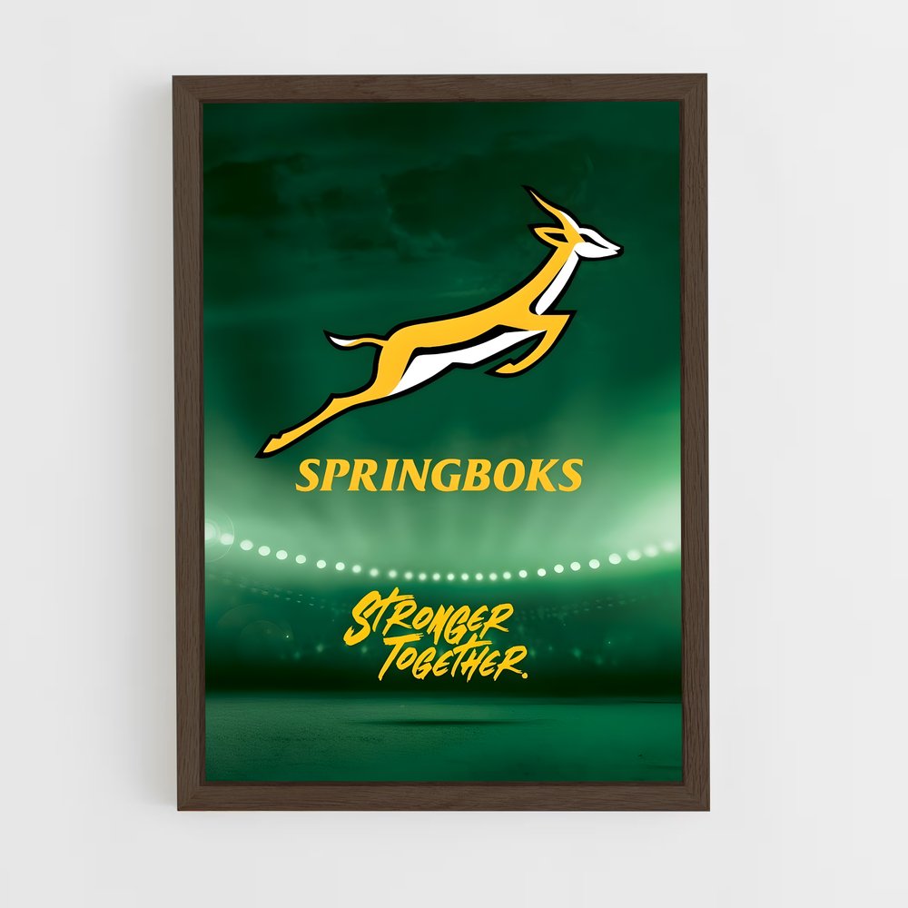 ap-south africa springboks-5 cadre Bois foncé