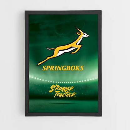 ap-south africa springboks-5 cadre Noir