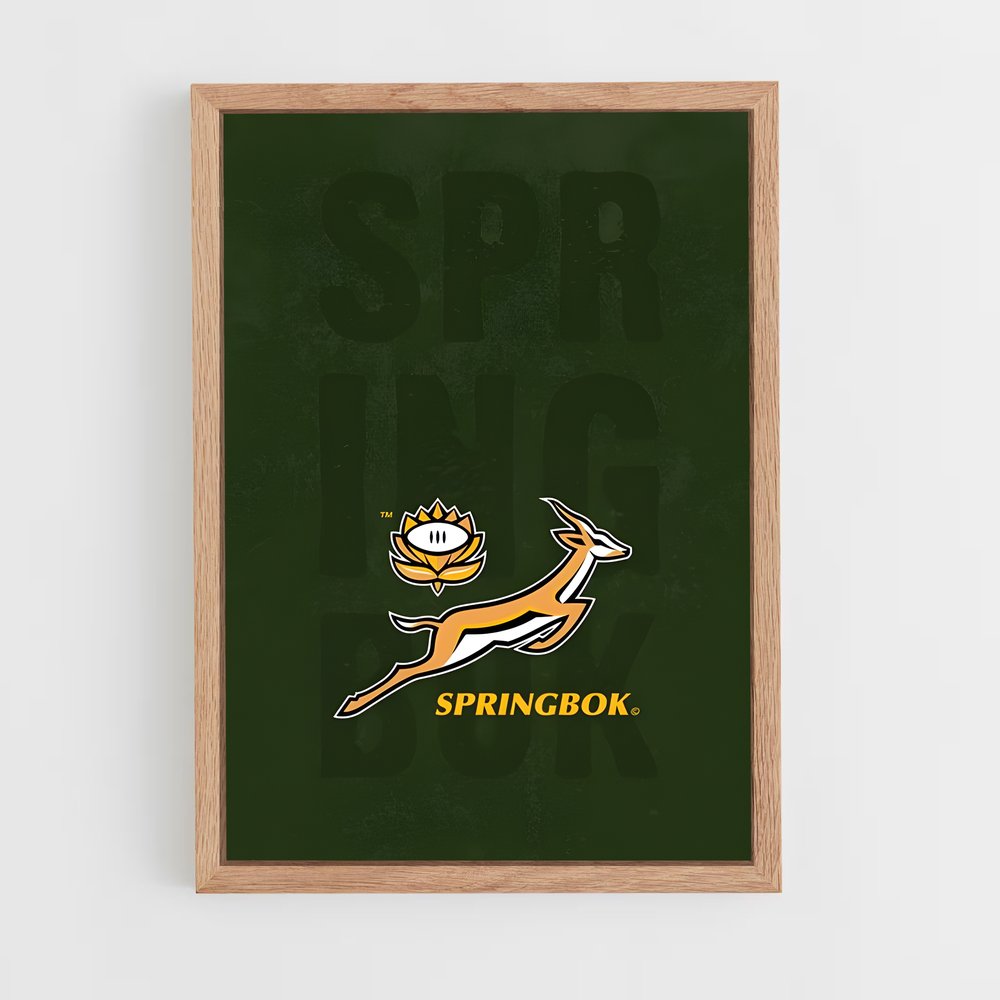 ap-south africa springboks-7 cadre Bois clair