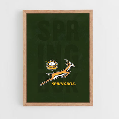 ap-south africa springboks-7 cadre Bois clair