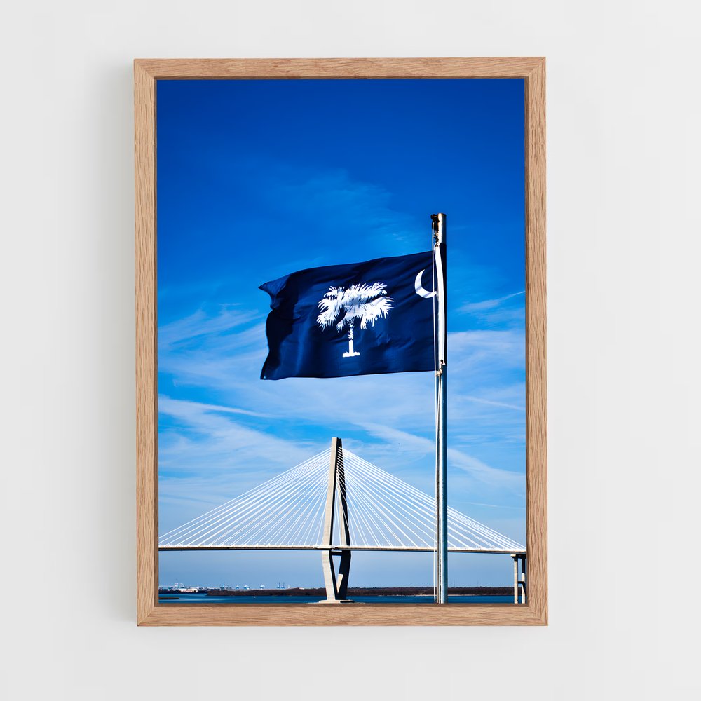 ap-south carolina flag-2 cadre Bois clair
