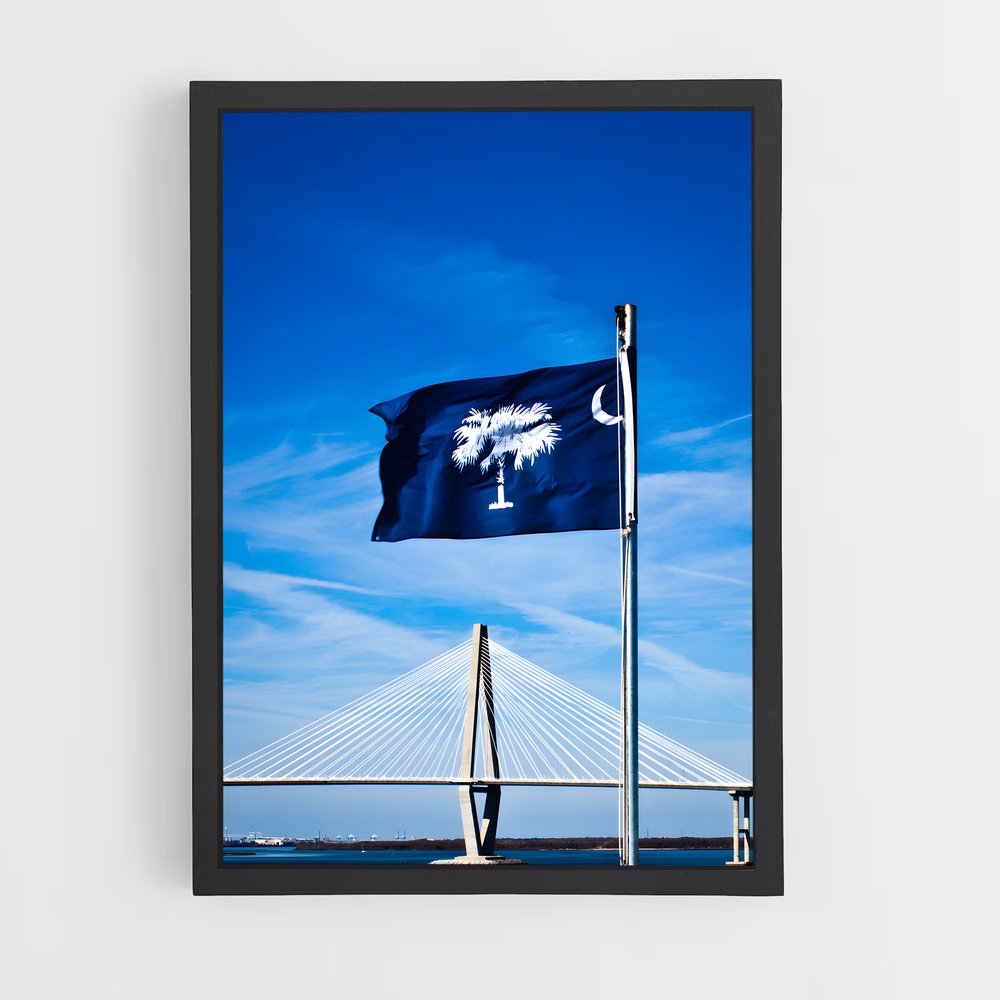 ap-south carolina flag-2 cadre Noir