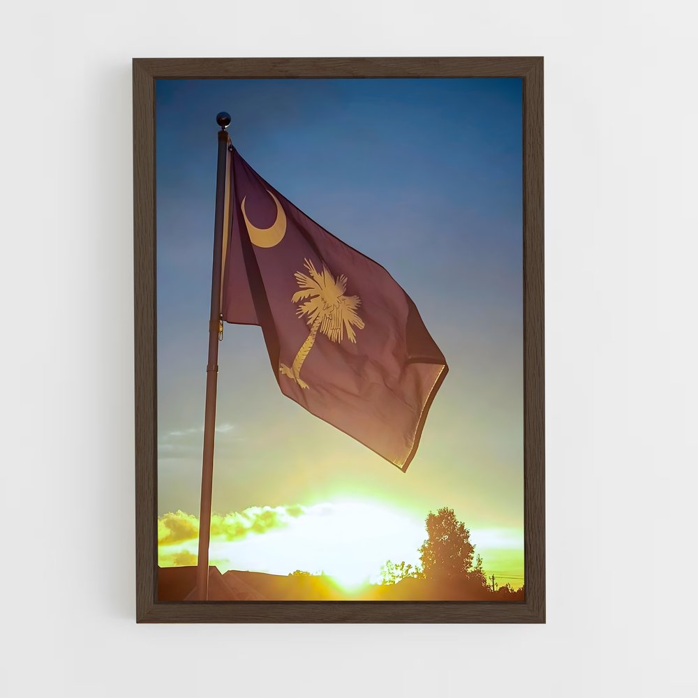 ap-south carolina flag-3 cadre Bois foncé