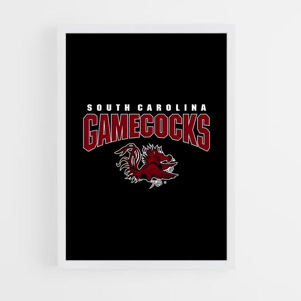 ap-south carolina gamecocks-1 cadre Blanc
