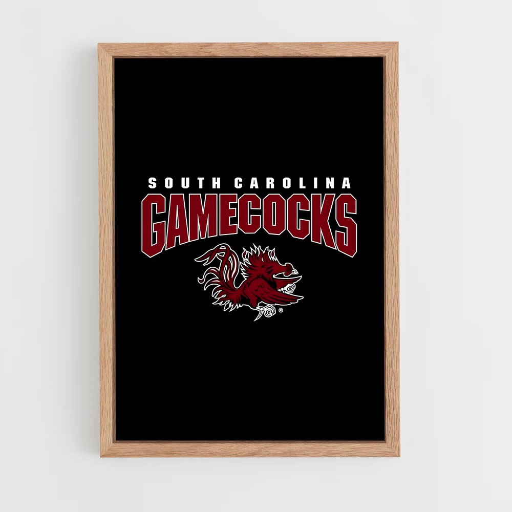 ap-south carolina gamecocks-1 cadre Bois clair