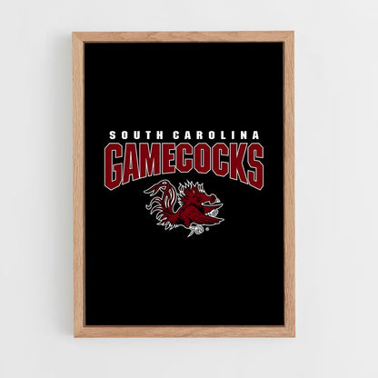 ap-south carolina gamecocks-1 cadre Bois clair