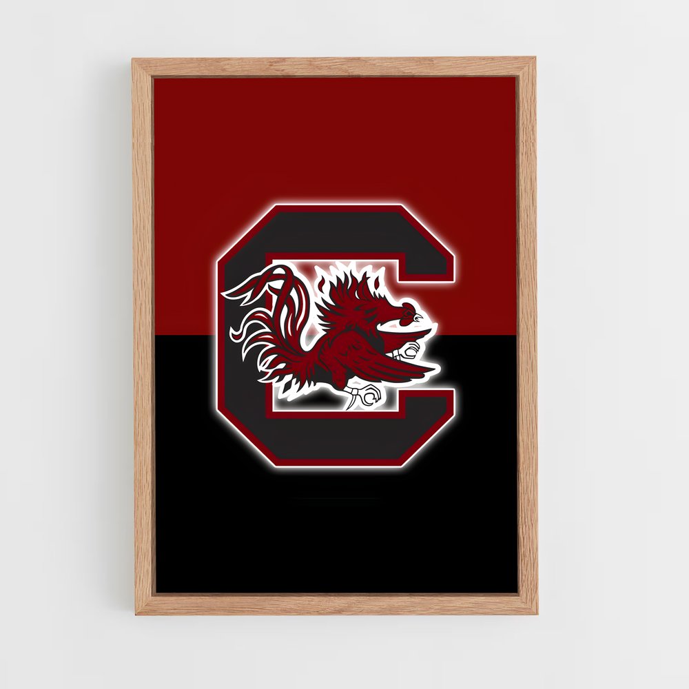 ap-south carolina gamecocks-3 cadre Bois clair
