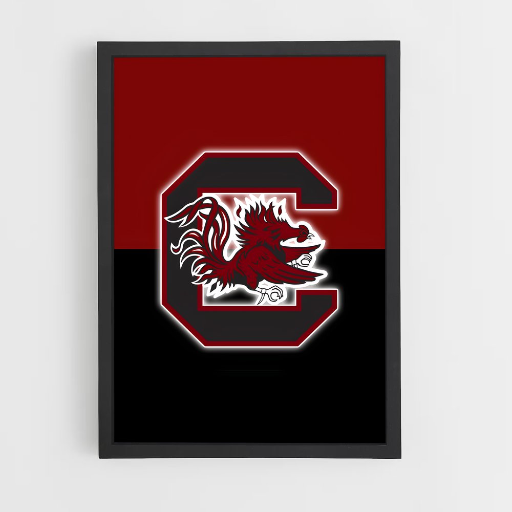 ap-south carolina gamecocks-3 cadre Noir