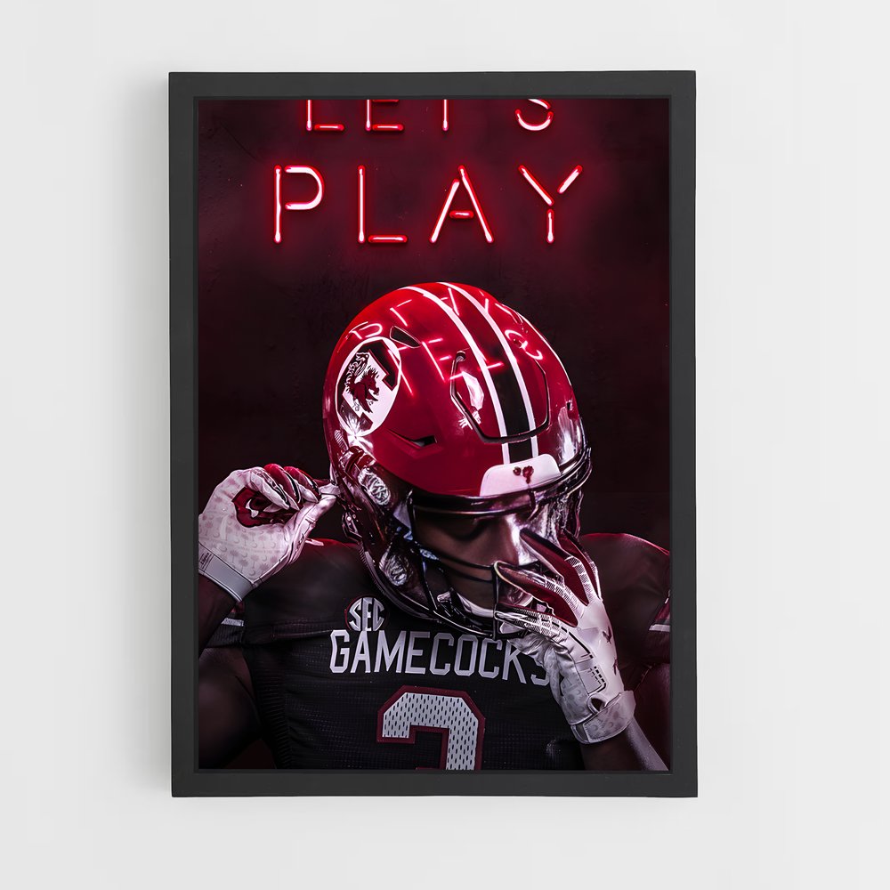 ap-south carolina gamecocks-4 cadre Noir