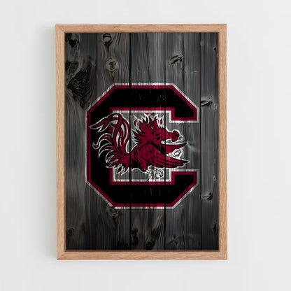 ap-south carolina gamecocks-5 cadre Bois clair