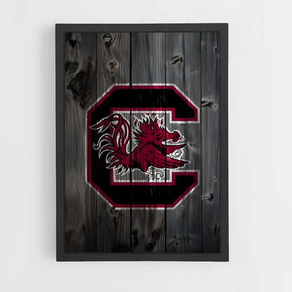 ap-south carolina gamecocks-5 cadre Noir