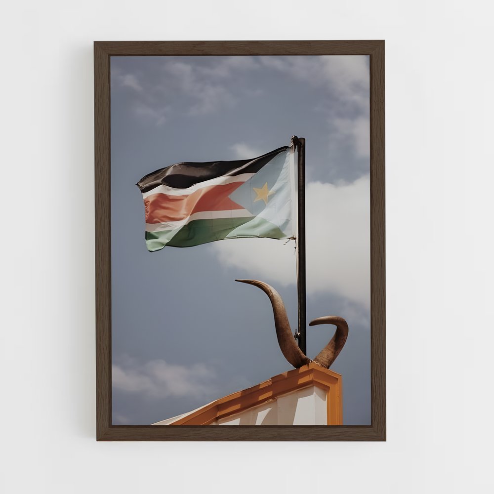 ap-south sudan flag-3 cadre Bois foncé
