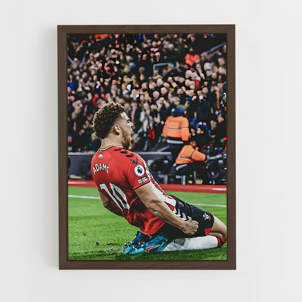 ap-southampton fc-5 cadre Bois foncé