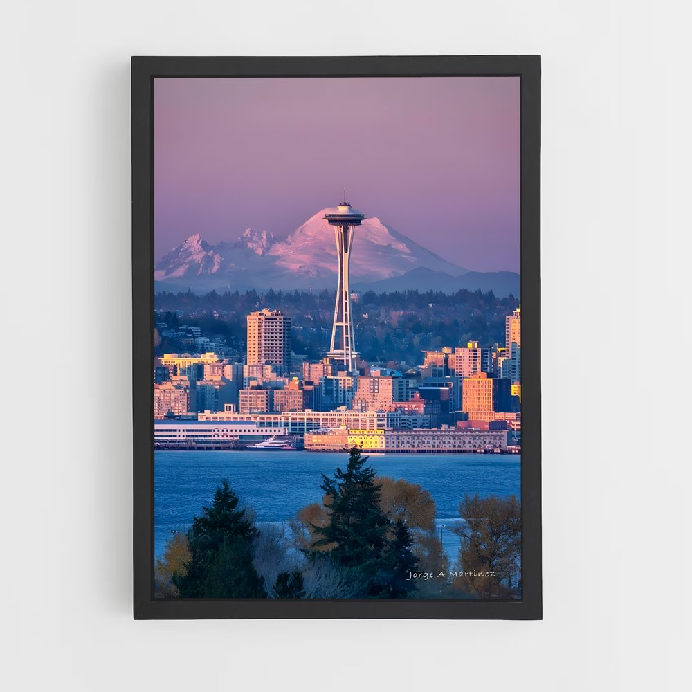 ap-space needle-4 cadre Noir