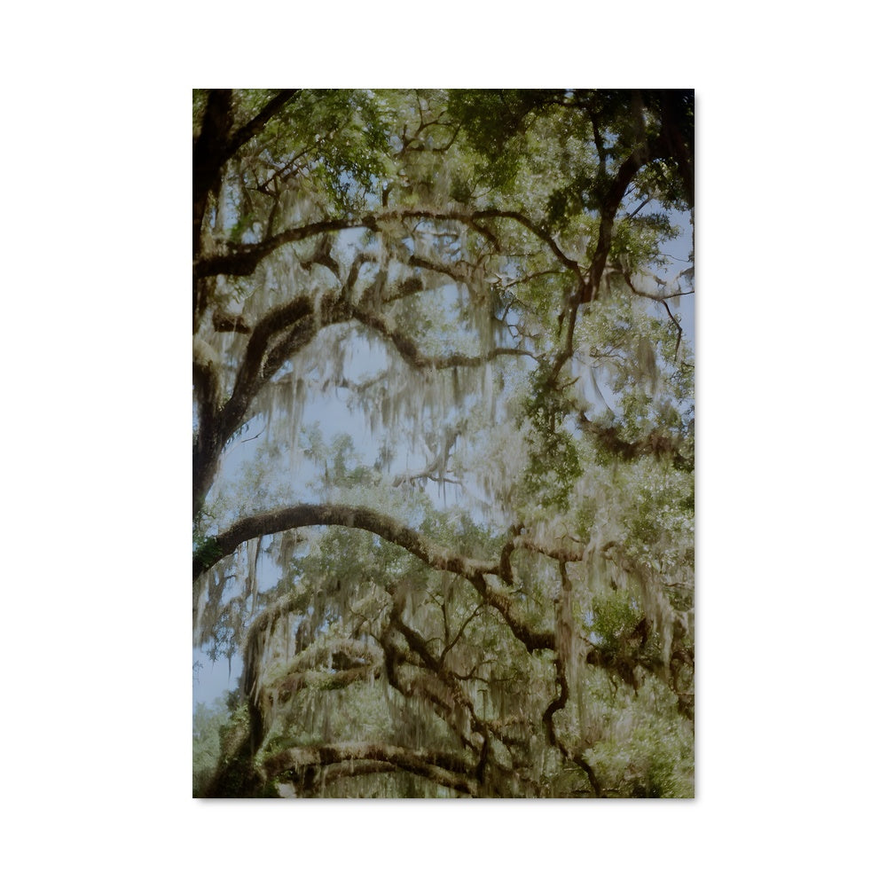 Poster L'Ombre de la Vie