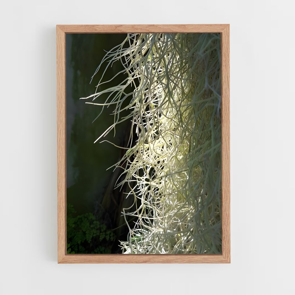 ap-spanish moss-4 cadre Bois clair