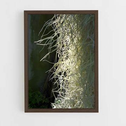 ap-spanish moss-4 cadre Bois foncé