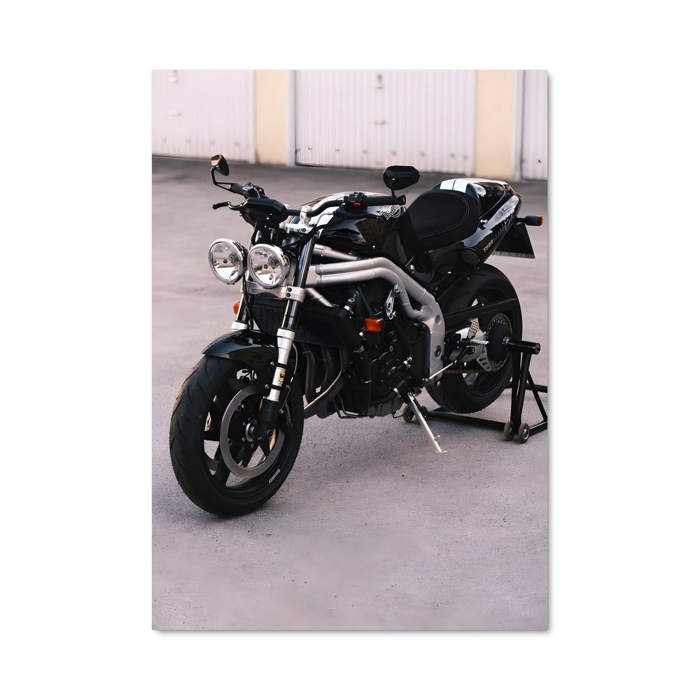 Poster Speed triple 82788