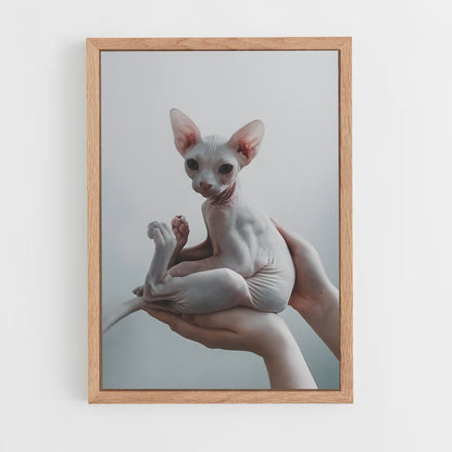 ap-sphynx-2 cadre Bois clair