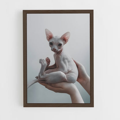 ap-sphynx-2 cadre Bois foncé