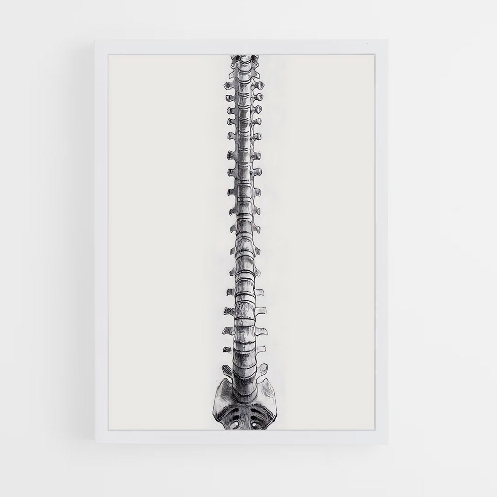 ap-spine-2 cadre Blanc