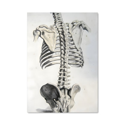 Poster L'Oiseau de Mort