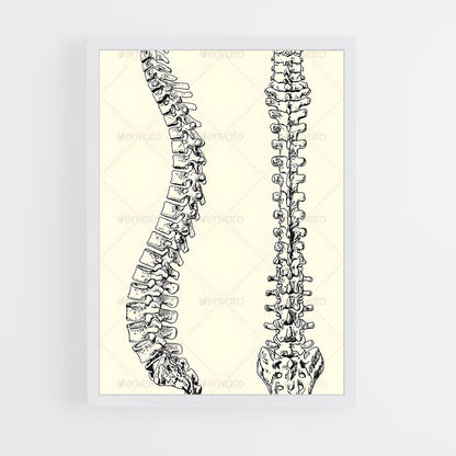 ap-spine-9 cadre Blanc