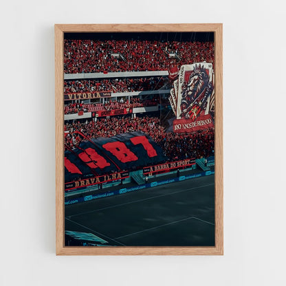 ap-sport club do recife-11 cadre Bois clair