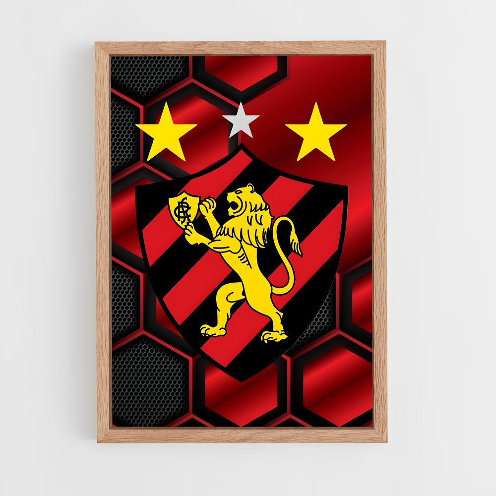 ap-sport club do recife-13 cadre Bois clair