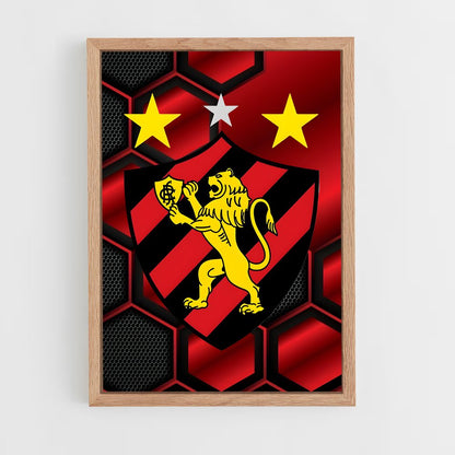 ap-sport club do recife-13 cadre Bois clair