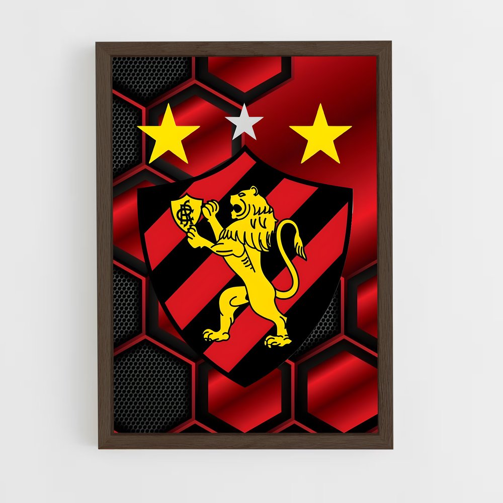 ap-sport club do recife-13 cadre Bois foncé