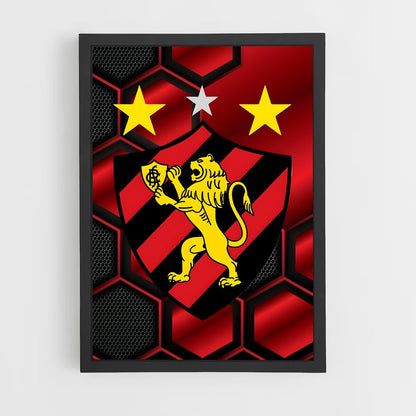 ap-sport club do recife-13 cadre Noir