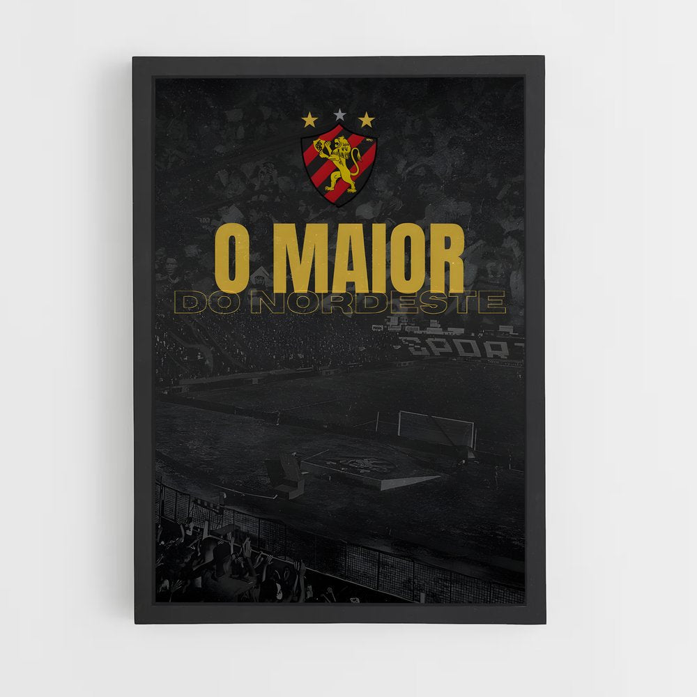 ap-sport club do recife-14 cadre Noir