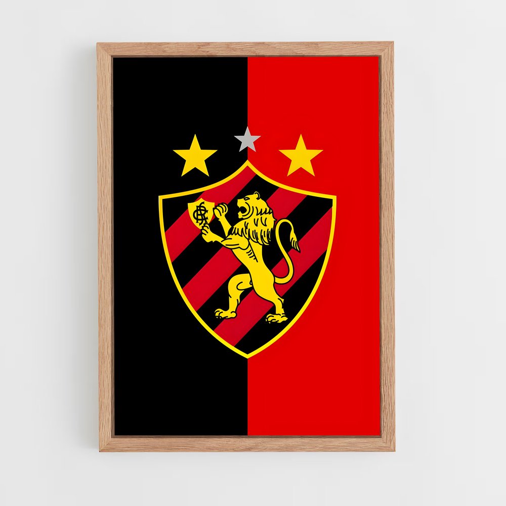 ap-sport club do recife-4 cadre Bois clair