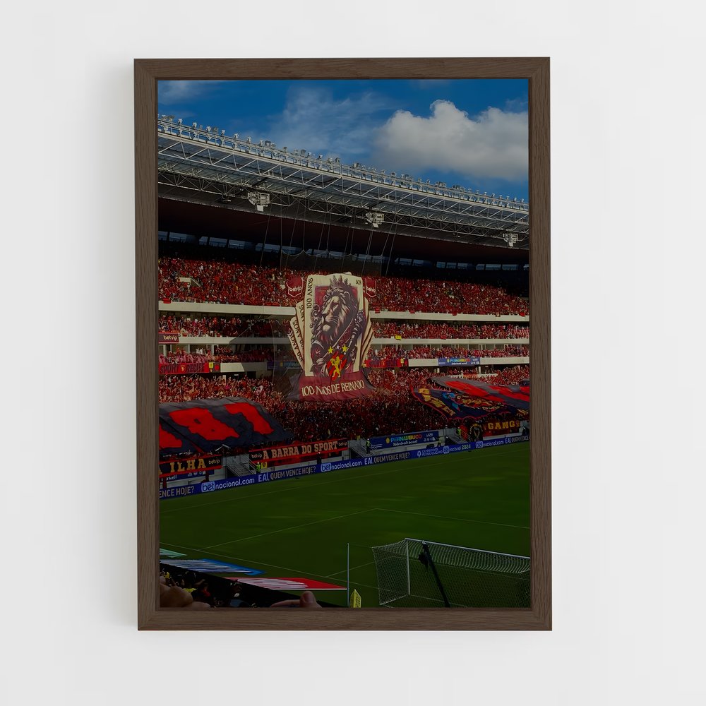 ap-sport club do recife-8 cadre Bois foncé