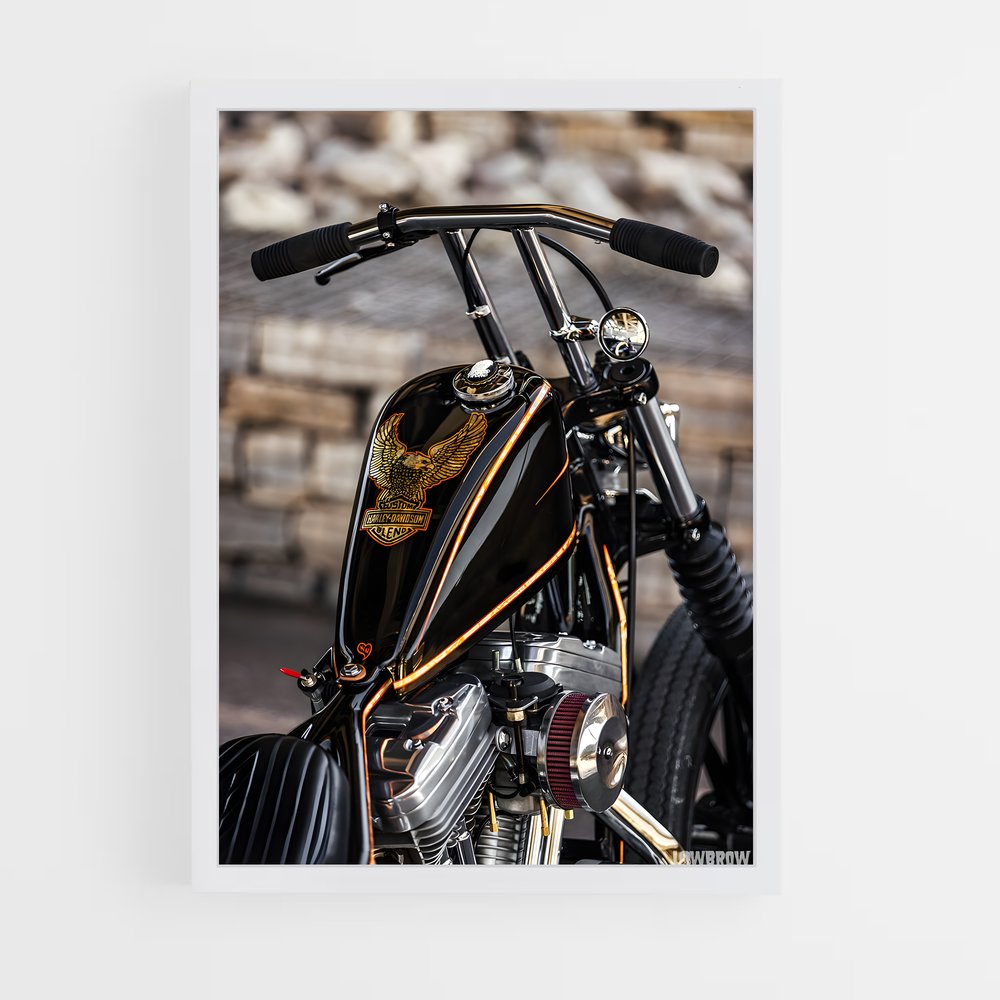 ap-sportster-4 cadre Blanc