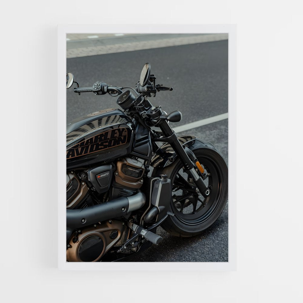 ap-sportster s-2 cadre Blanc