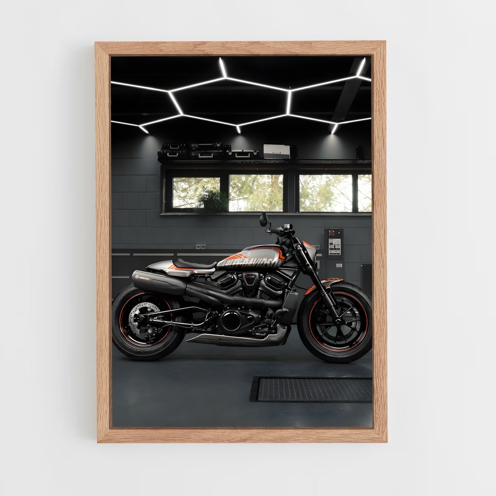 ap-sportster s-4 cadre Bois clair