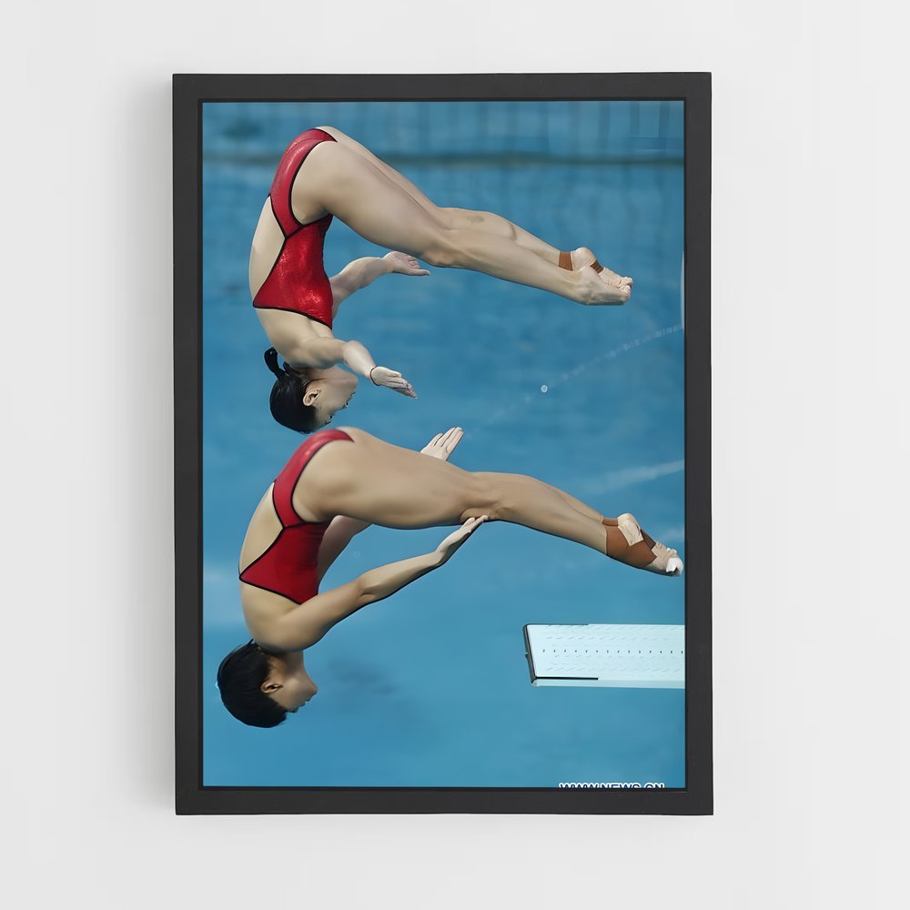ap-springboard diving-3 cadre Noir