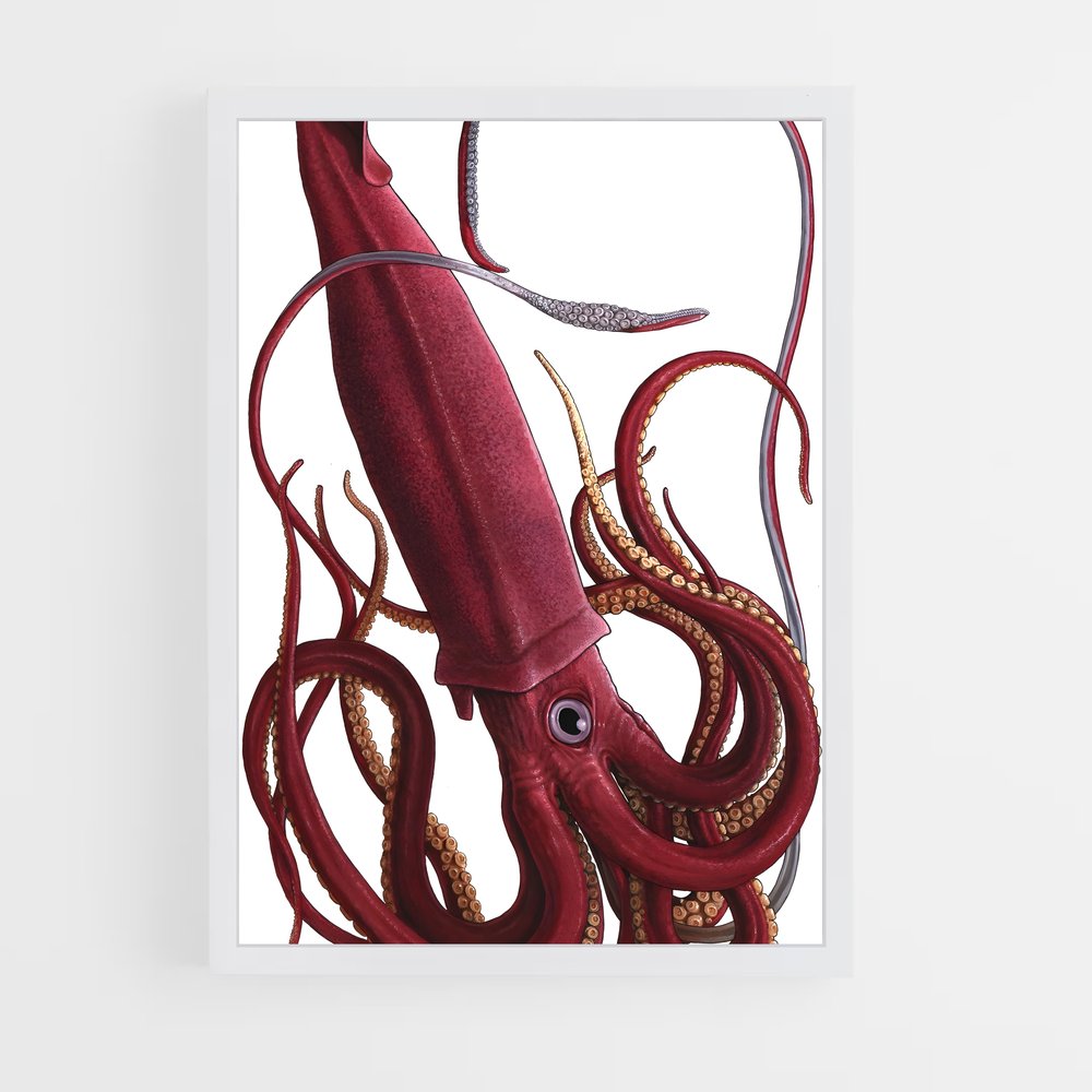 ap-squid-3 cadre Blanc