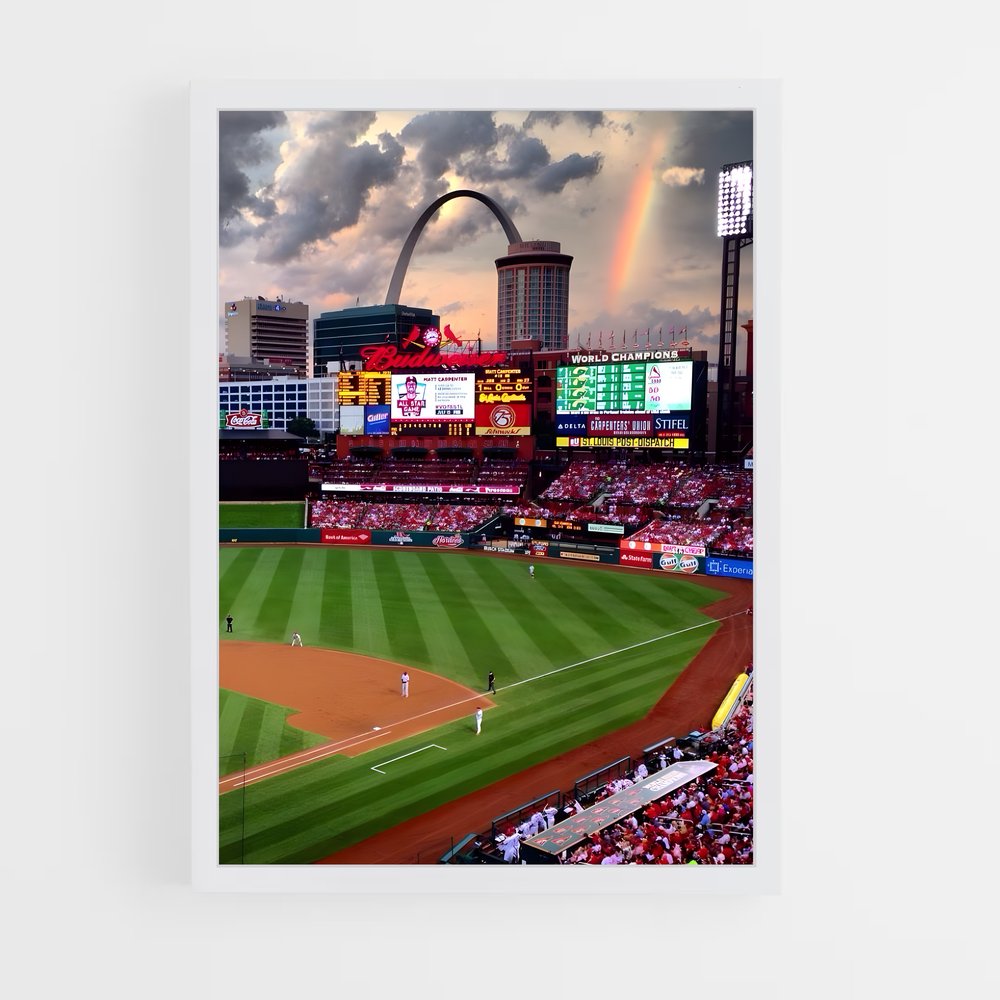 ap-st. louis cardinals-2 cadre Blanc