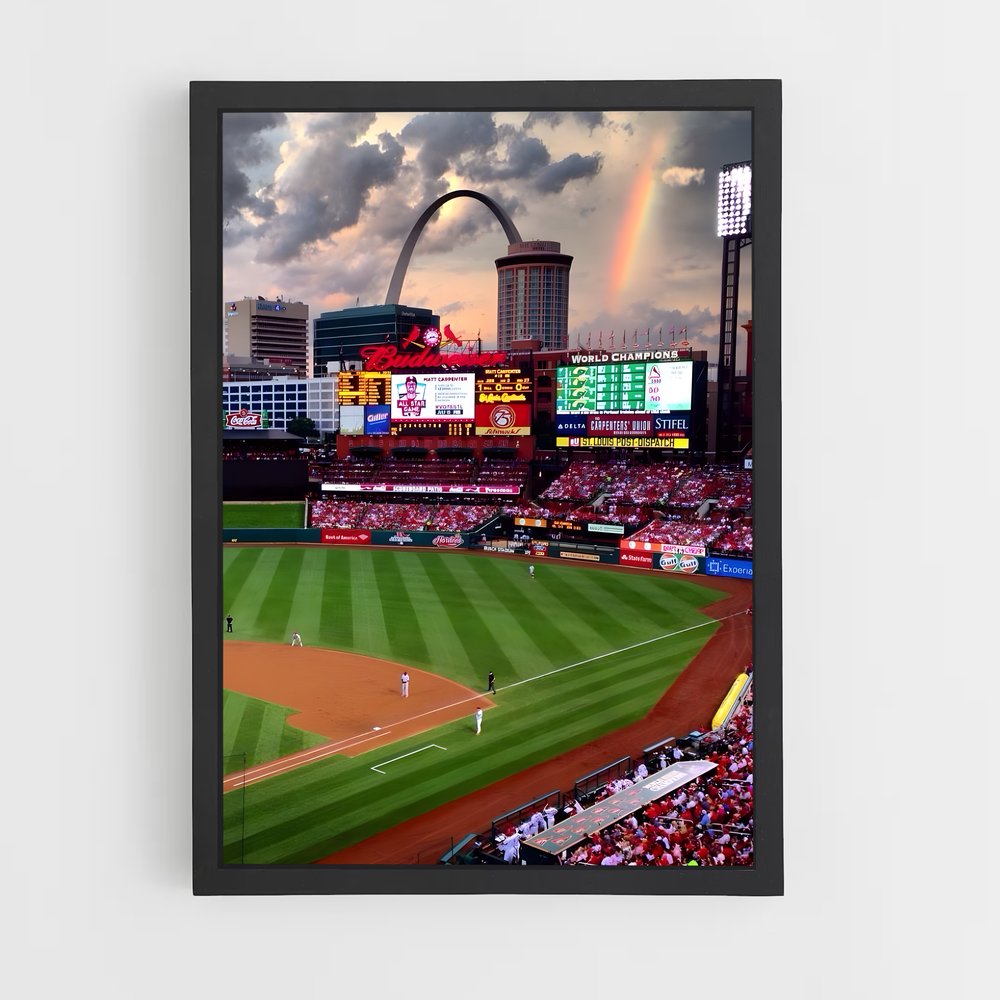 ap-st. louis cardinals-2 cadre Noir