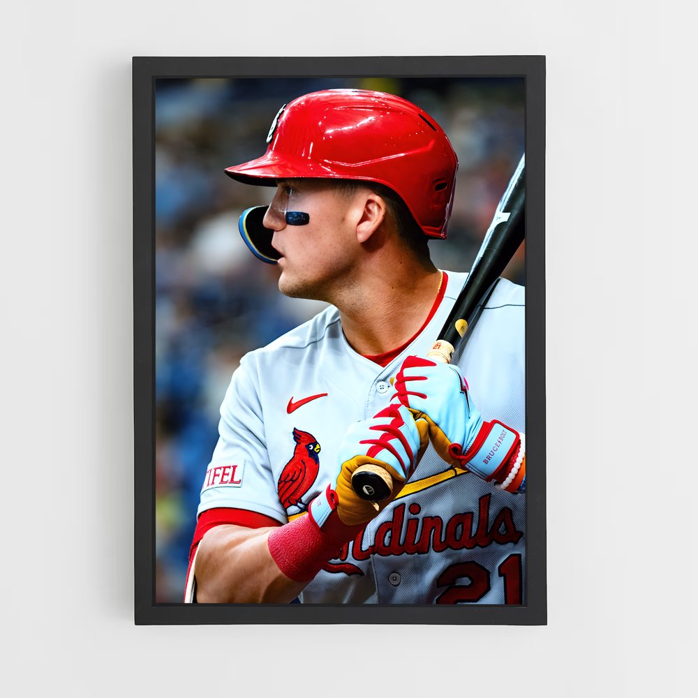 ap-st. louis cardinals-4 cadre Noir