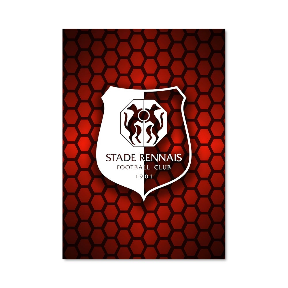 Poster Stade rennais fc 73199