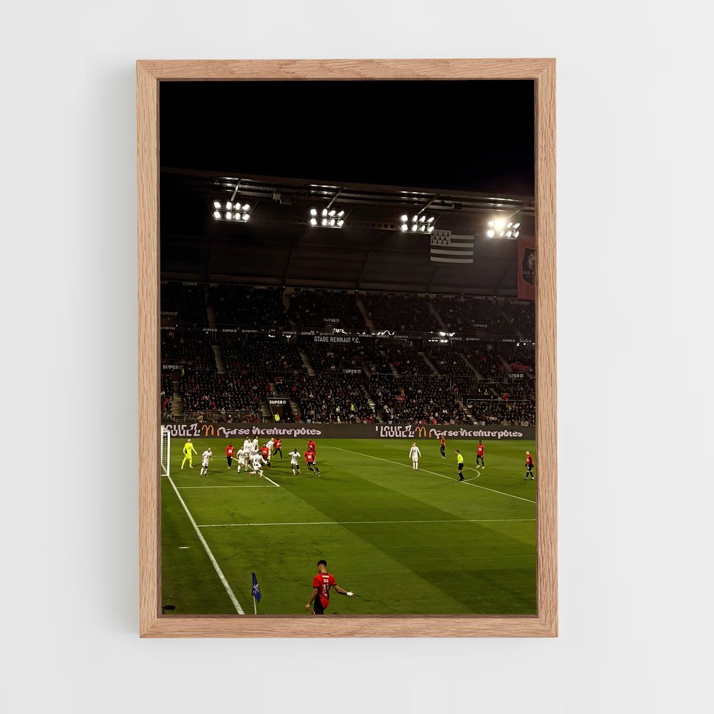 ap-stade rennais fc-11 cadre Bois clair