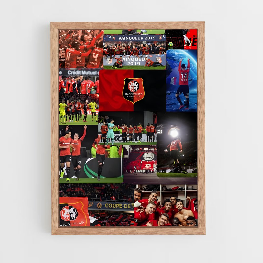 ap-stade rennais fc-13 cadre Bois clair