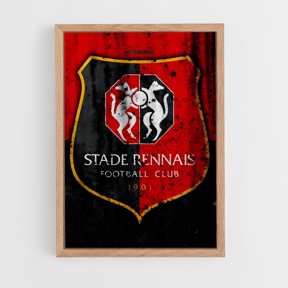 ap-stade rennais fc-7 cadre Bois clair